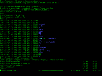 Linux command line Bash GNOME Terminal screenshot Kommandozeile Code