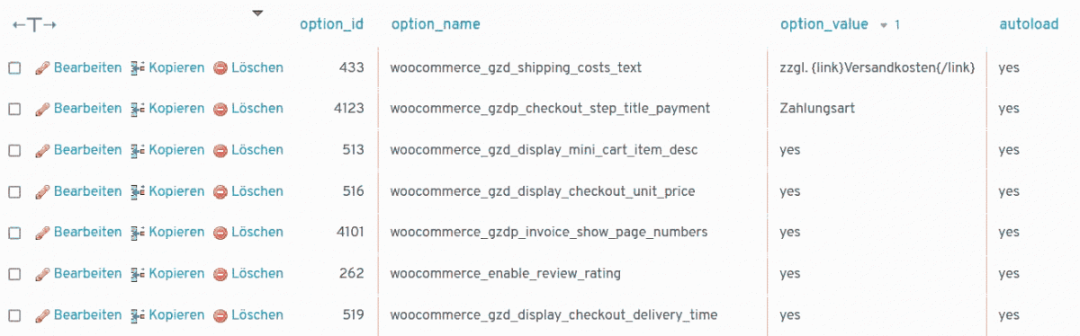 wp_options aufräumen WordPress Installation schneller machen
